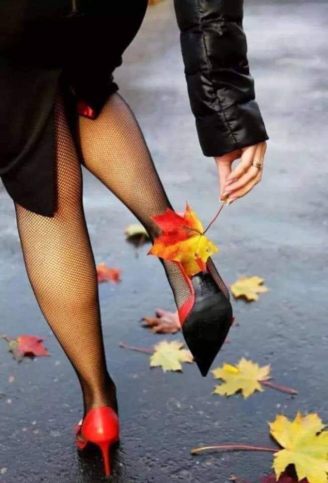 Из свободных источников сети Интернет