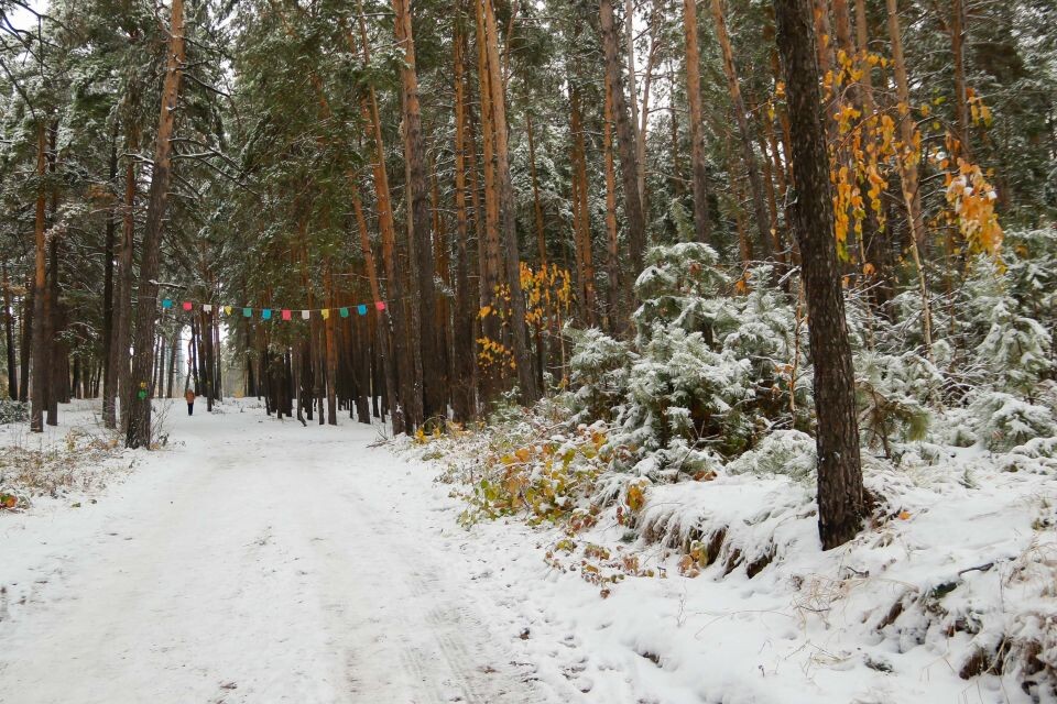    Трасса здоровья. Источник: Виталий Барабаш