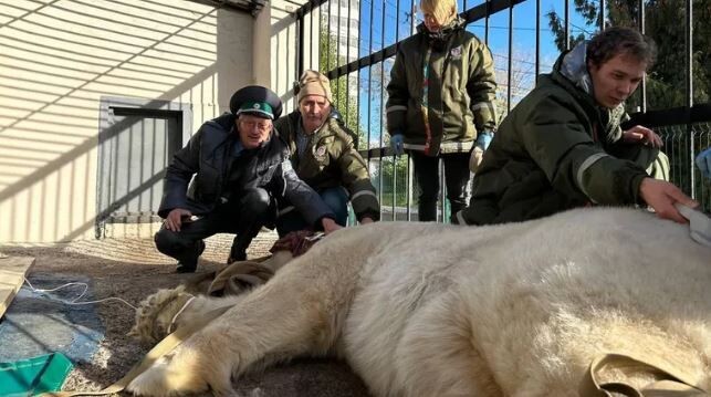     / Источник: © Светлана Радионова/Telegram