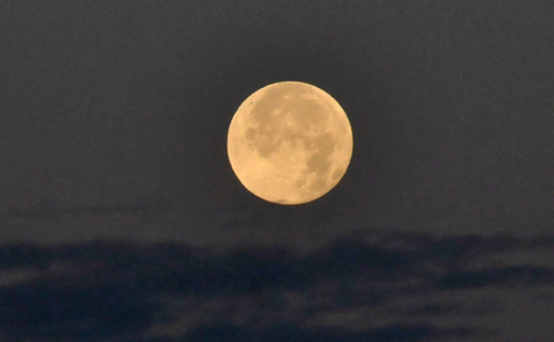    Фото из архива VN.ru