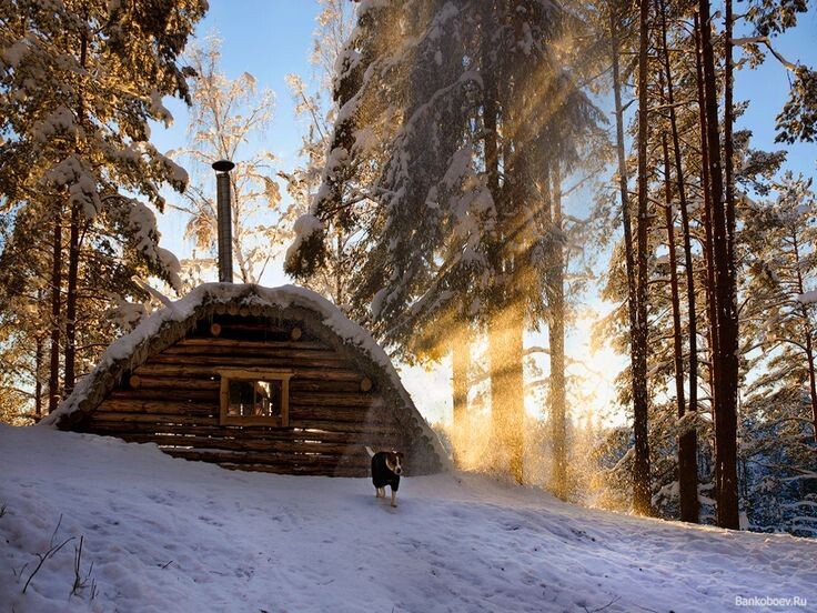 фотография из архива интернета