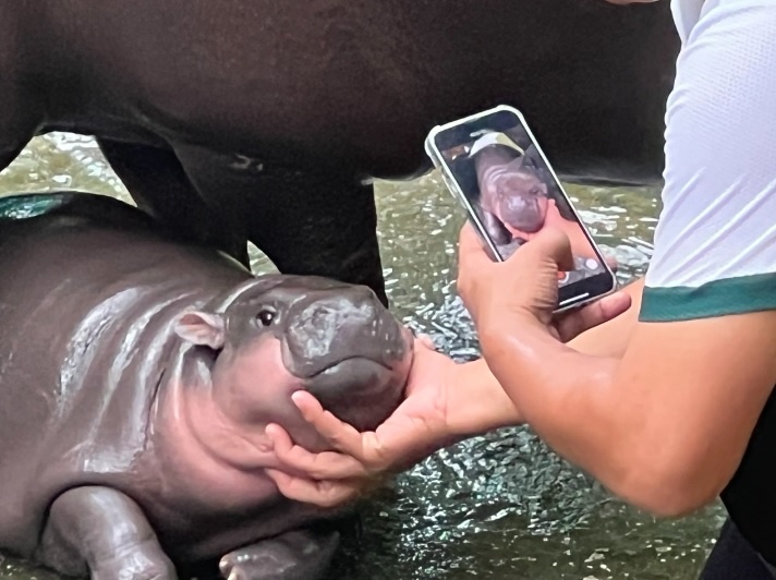 Небольшая фотосессия. Какая же знаменитость обойдет такое стороной?