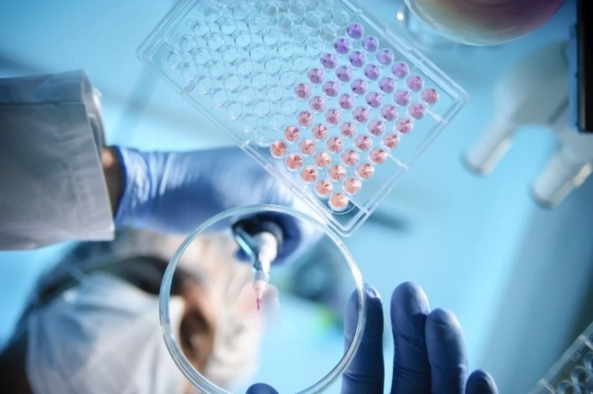    Биолог Баранова: вирус Марбург может постоянно передаваться между мышами