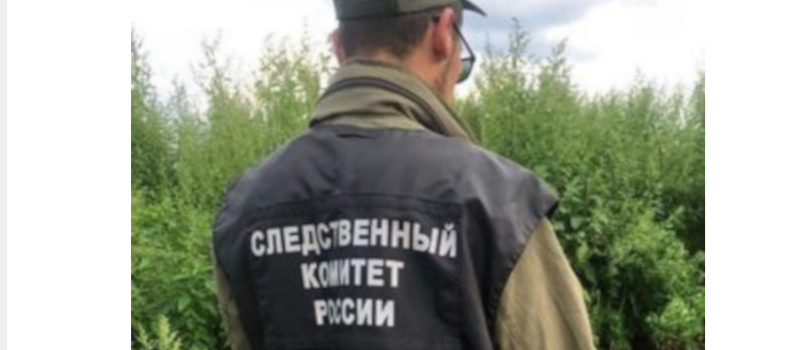    Кровавая ночь в КарелииИрина Меркова/ сгоревший дом Артема