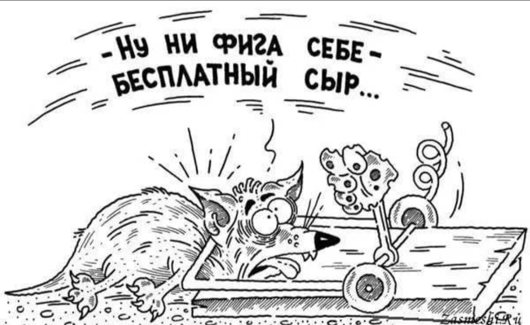 Картинка из яндекса