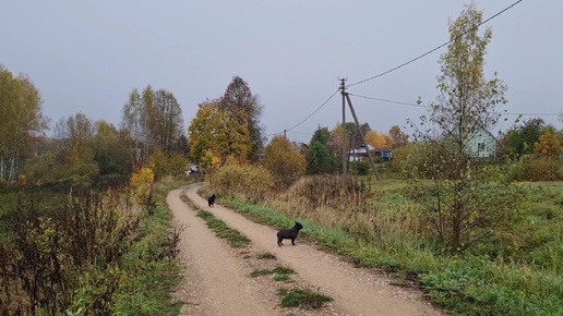 Удачное утро, долгожданный заказ и работа с древесиной, которая не заканчивается