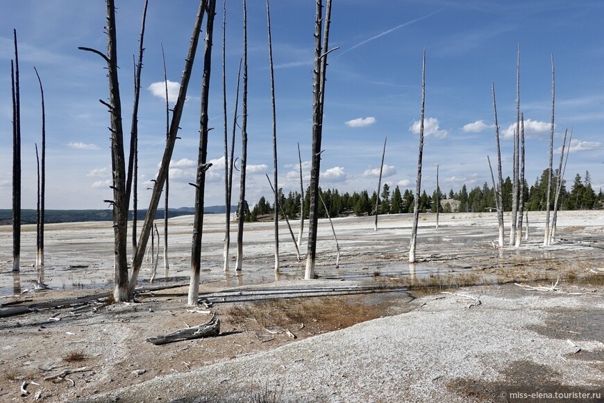 Первое впечатление — «Сталкер», Апокалипсис или Апофеоз войны © miss-elena.tourister.ru