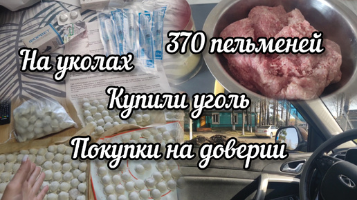 Нарушил все планы 😿 Назначили лечение 💉Пробили без оплаты 🛍️Купили уголь