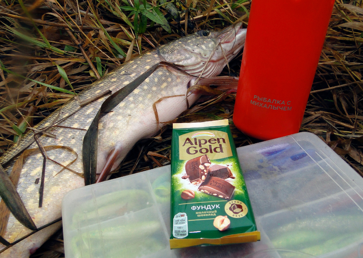 Утренний час с шоколадкой и щукой ))))
