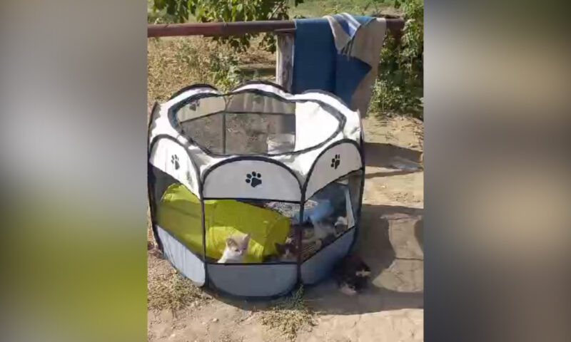    Видео t.me/priogni