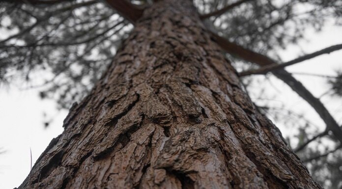   Изображение от wirestock на Freepik