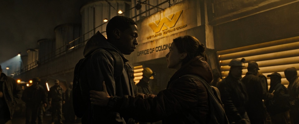 "Нам даже в шахте поработать не дали, или котенка накормить!"