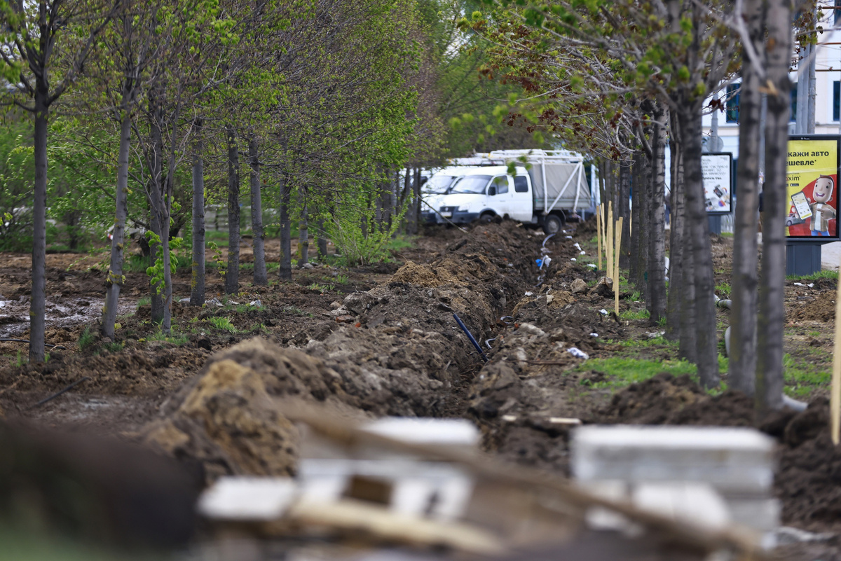 Автор фото: Павел Хацаюк / ИД «Вечерняя Казань» 