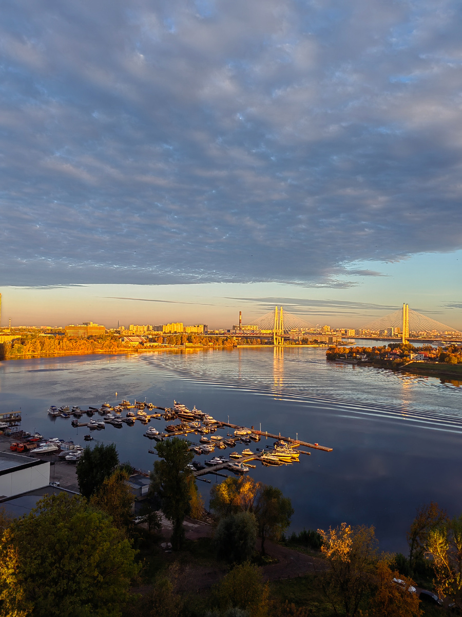 А это сегодняшнее утро. Фото даже не обрезала и никак не редактировала