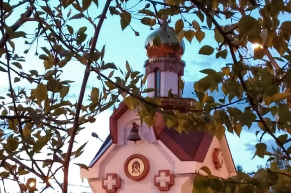    Донская митрополия отреагировала на ситуацию с найденными на свалке иконами