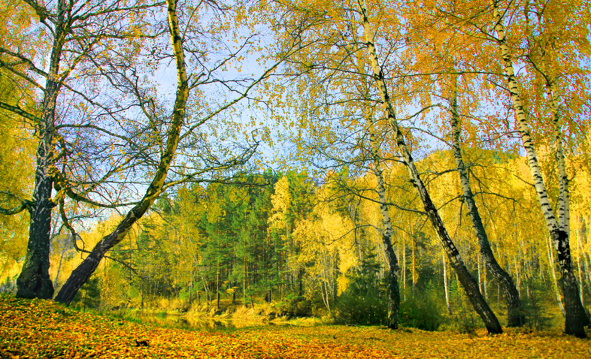Фотография, стихотворение Василия Глуцкого