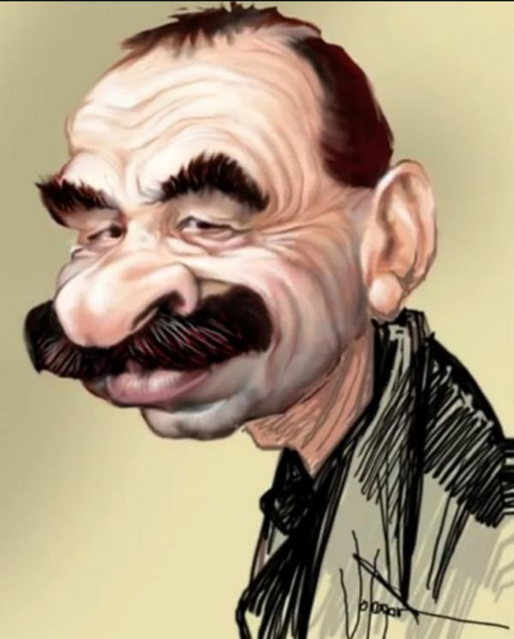 * Шарж на артиста позаимствован с сайта "Пинтерест".