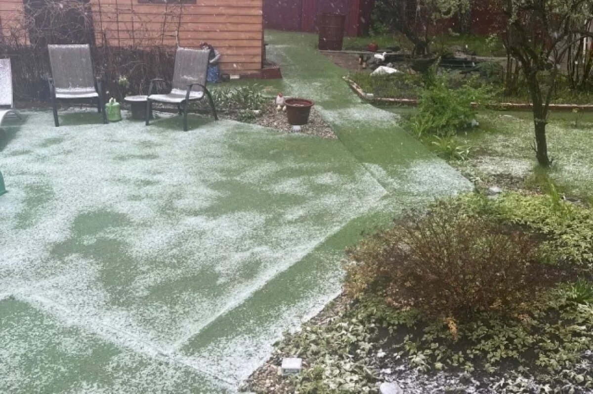    Профессор рассказал о выпадении мокрого снега в Казани