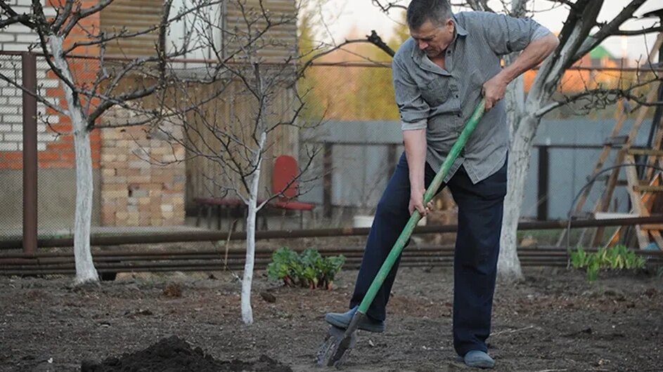 Не могу себе представить, что делал бы я без дачи.