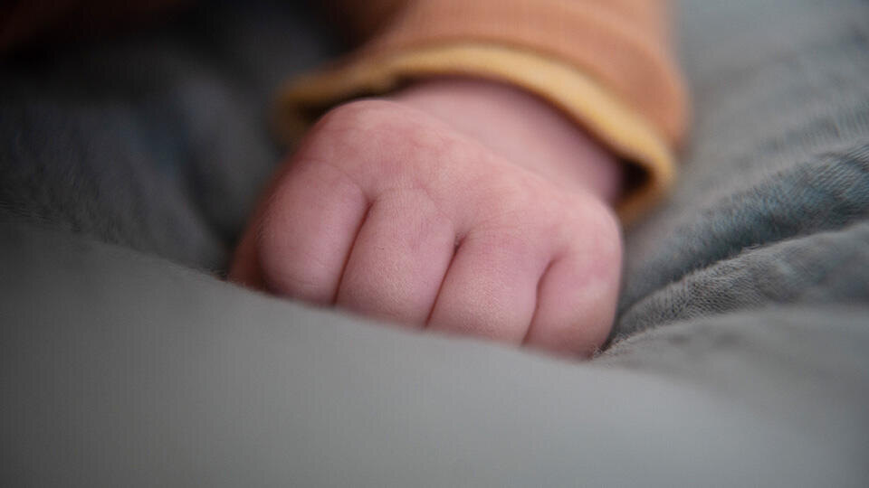 Фото: © Global Look Press/Sebastian Gollnow/dpa (из архива)