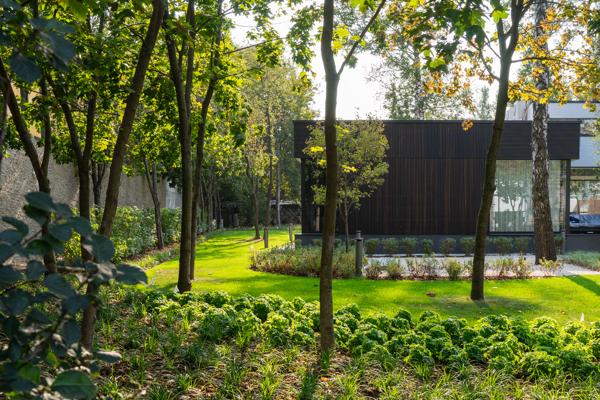 Реечный фасад из массива Термоясеня (ООО Термо Вуд)