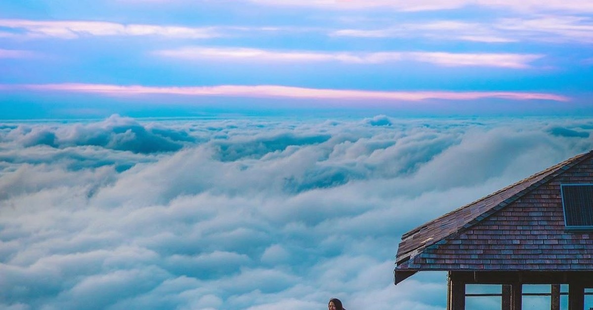 картинка из интернета