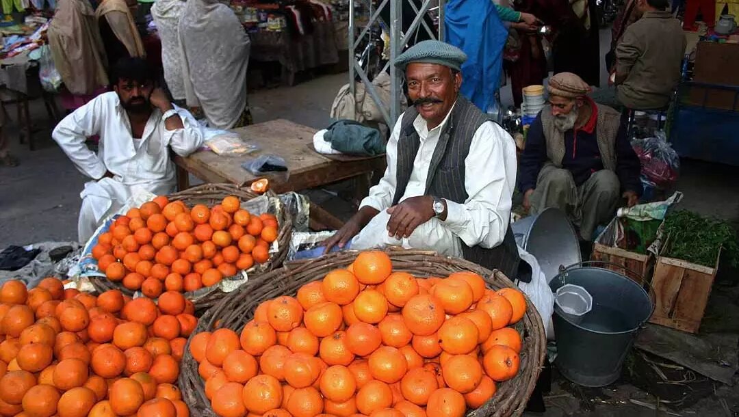     Автор: wikimedia.org