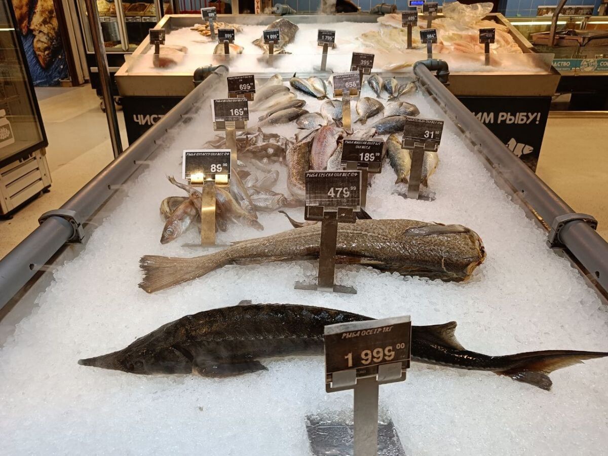 Фото: ИА "Регион 71"