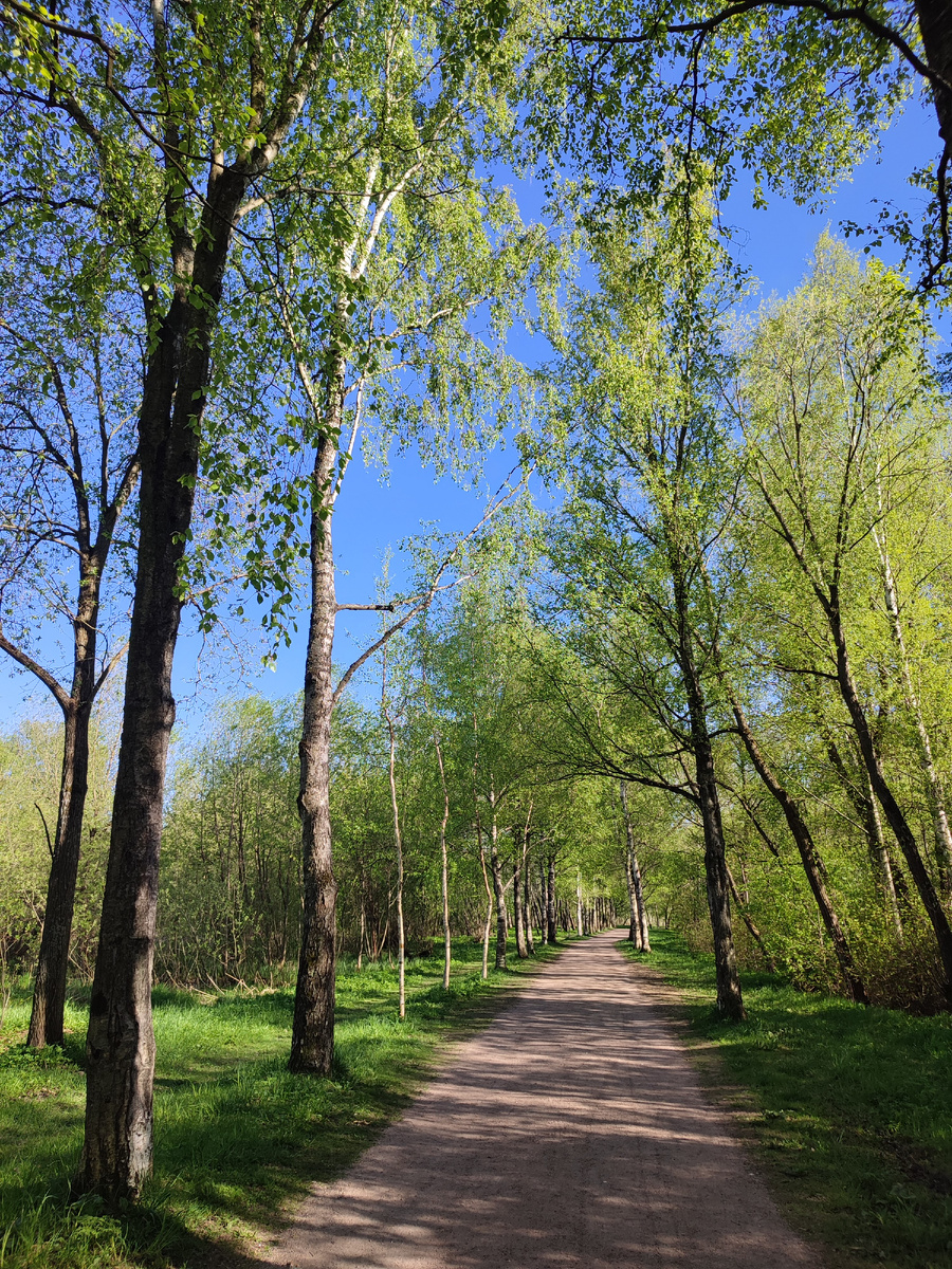 В парке весной