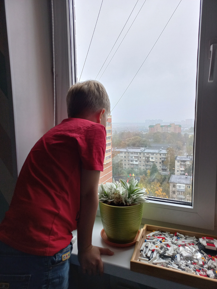 Наблюдает за первым снегом