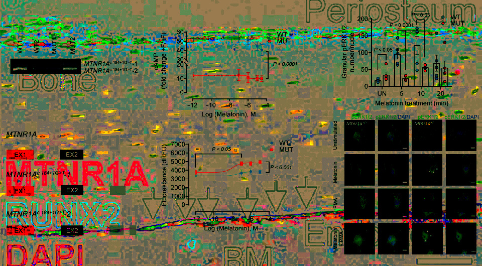   N + 1; Brygida Bisikirska et al. / Science Translational Medicine, 2024