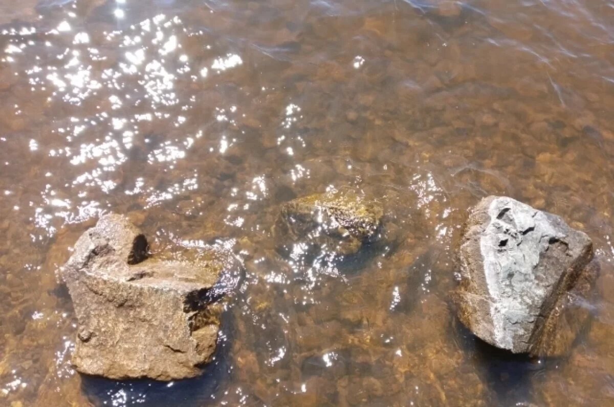    На снимке, который сделали жители, видно, что водоём полностью обмелел.