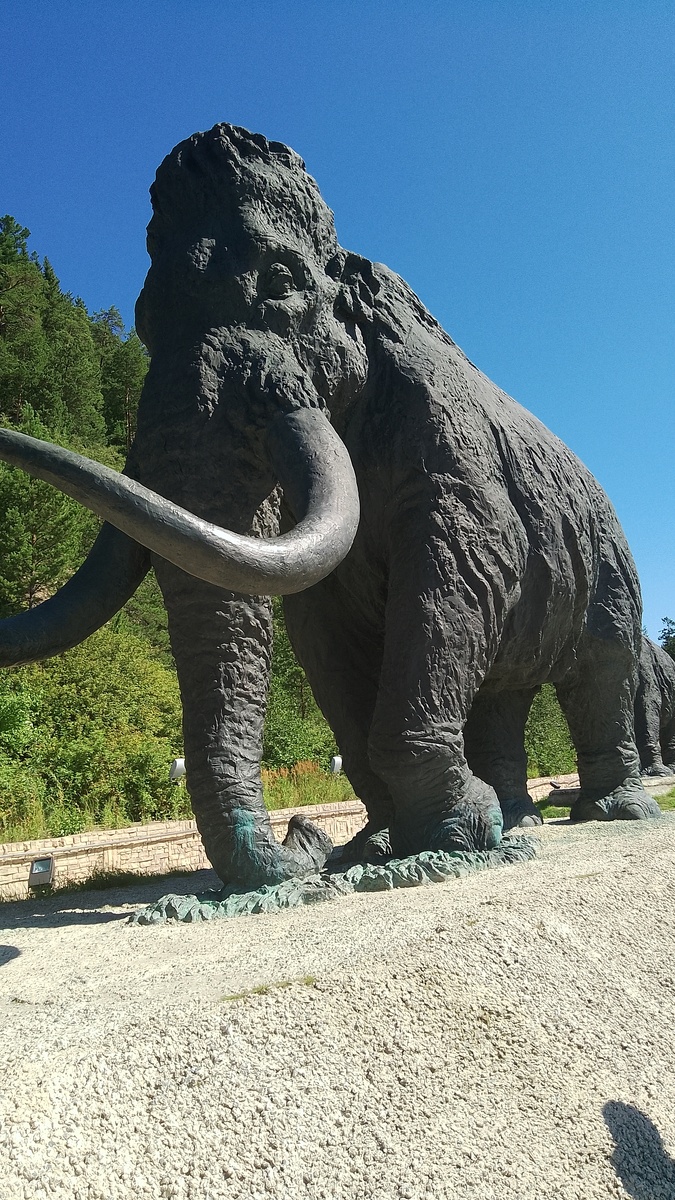 Вожак мамонтов. Высота - 8 метров. Фото автора.