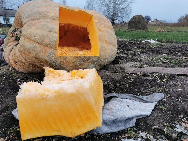    Фото предоставлено Артемом Ломакиным