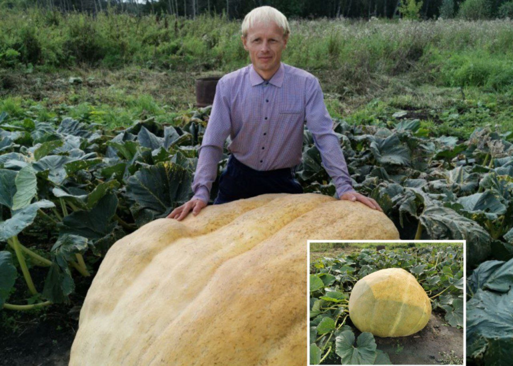 © Фото из личного архива. Коллаж VN.ru.📷
