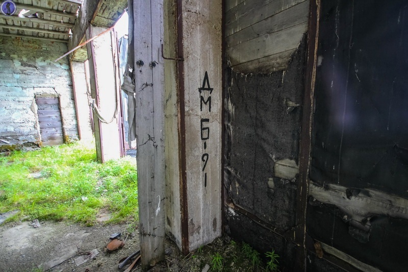 -61
