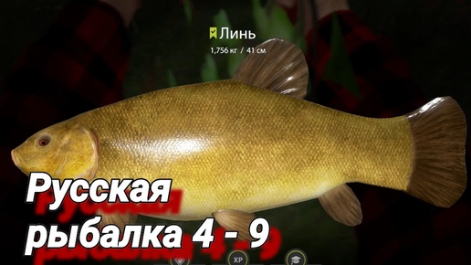 Russian Fishing 4 # 9 ( оз. Комариное - Побил свой рекорд по весу выловленного хвоста! )