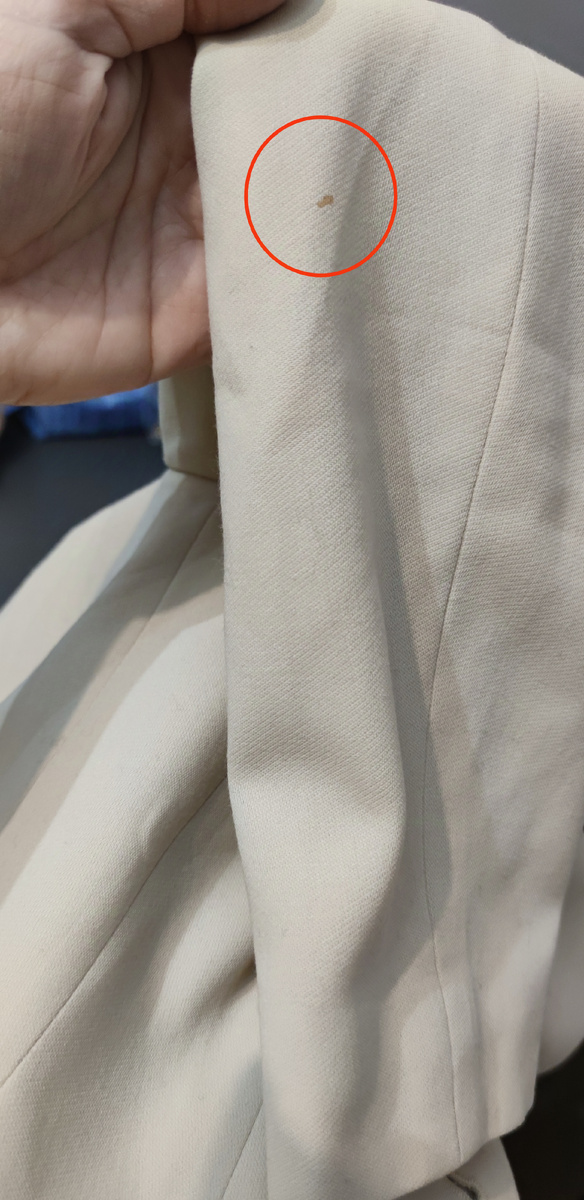 По сути они были малозначительны, но так как пиджак молочного цвета, их всё же при близком рассмотрении было заметно. 