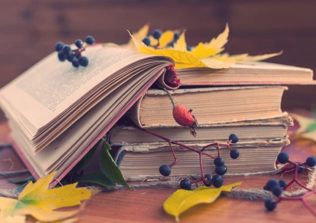 Чтение прекрасно гармонизирует в период развода, а после него помогает создать новое видение будущей жизни. 