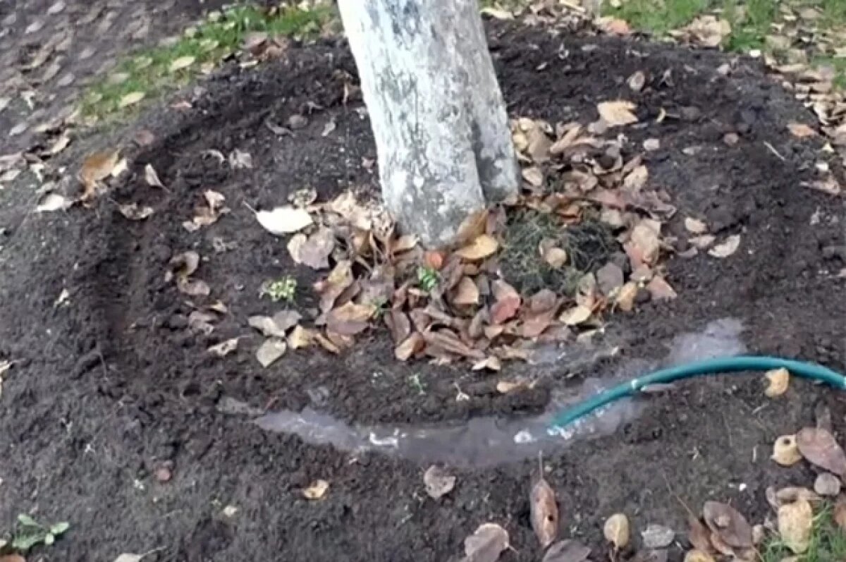    Сначала проводим тест.