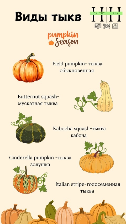 Виды тыкв