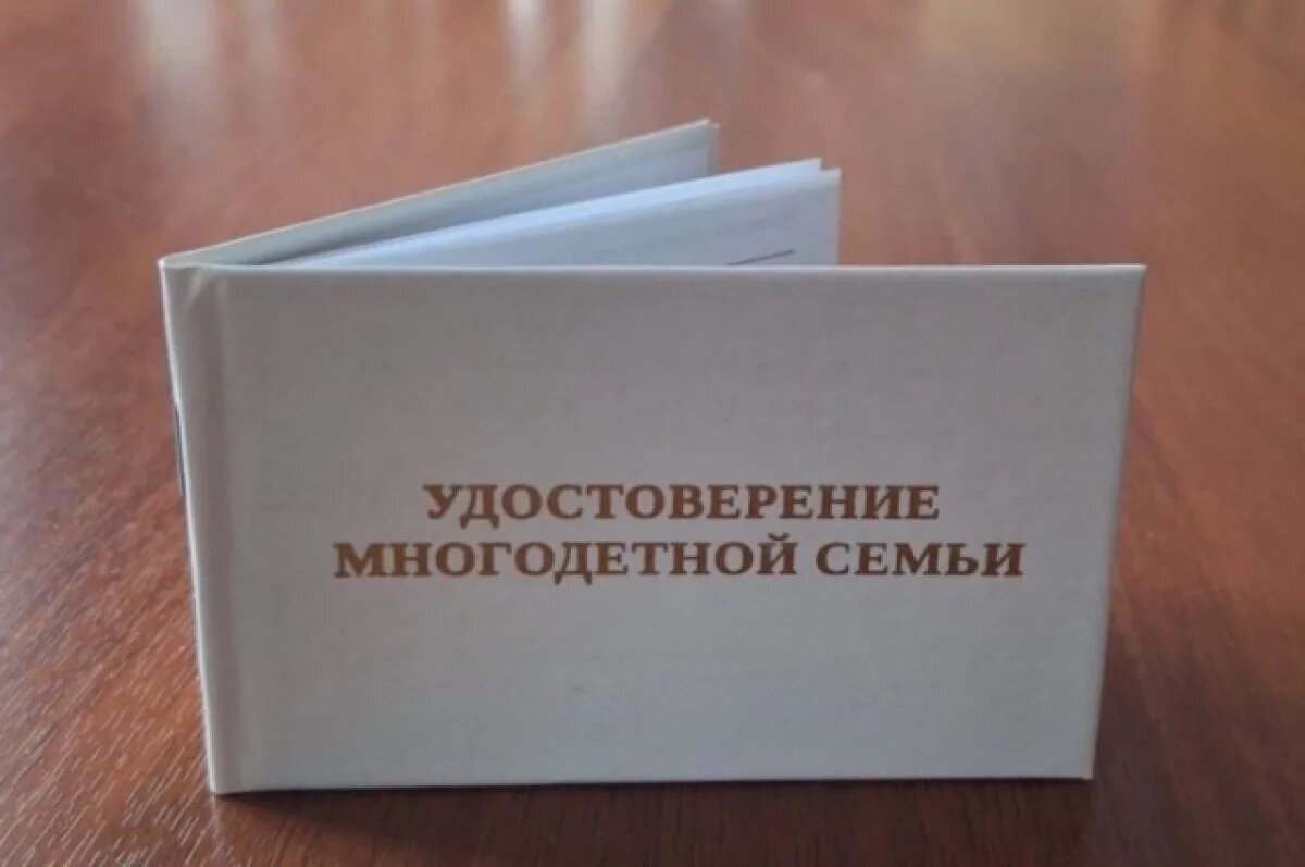    Жители региона могут получить электронное удостоверение многодетной семьи