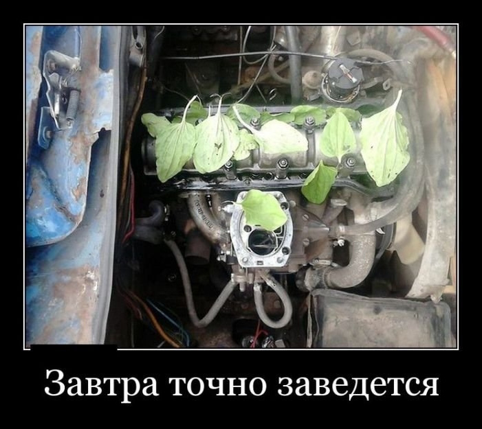 Яндекс-картинка.