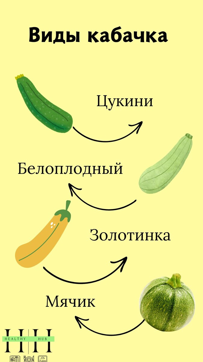 Виды кабачков