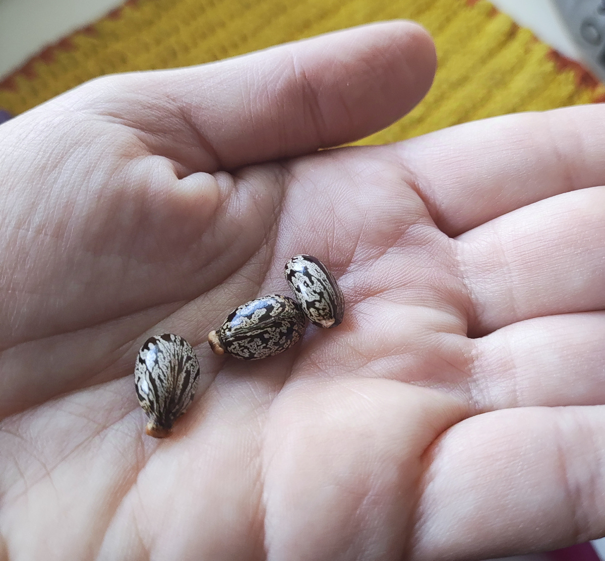 Что ты такое?