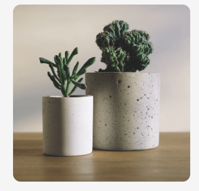 Фото с сайта https://skillbox.ru