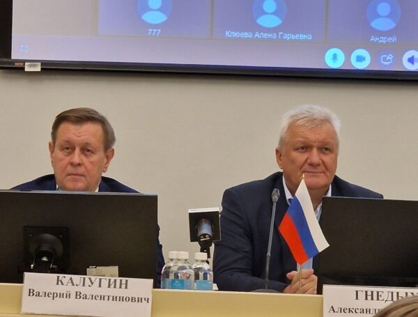 Модератор и организатор конференции бизнес-омбудсмен Валерий Калугин и глава УФНС по Санкт-Петербургу Александр Гнедых. Фото: Сергей Федоров