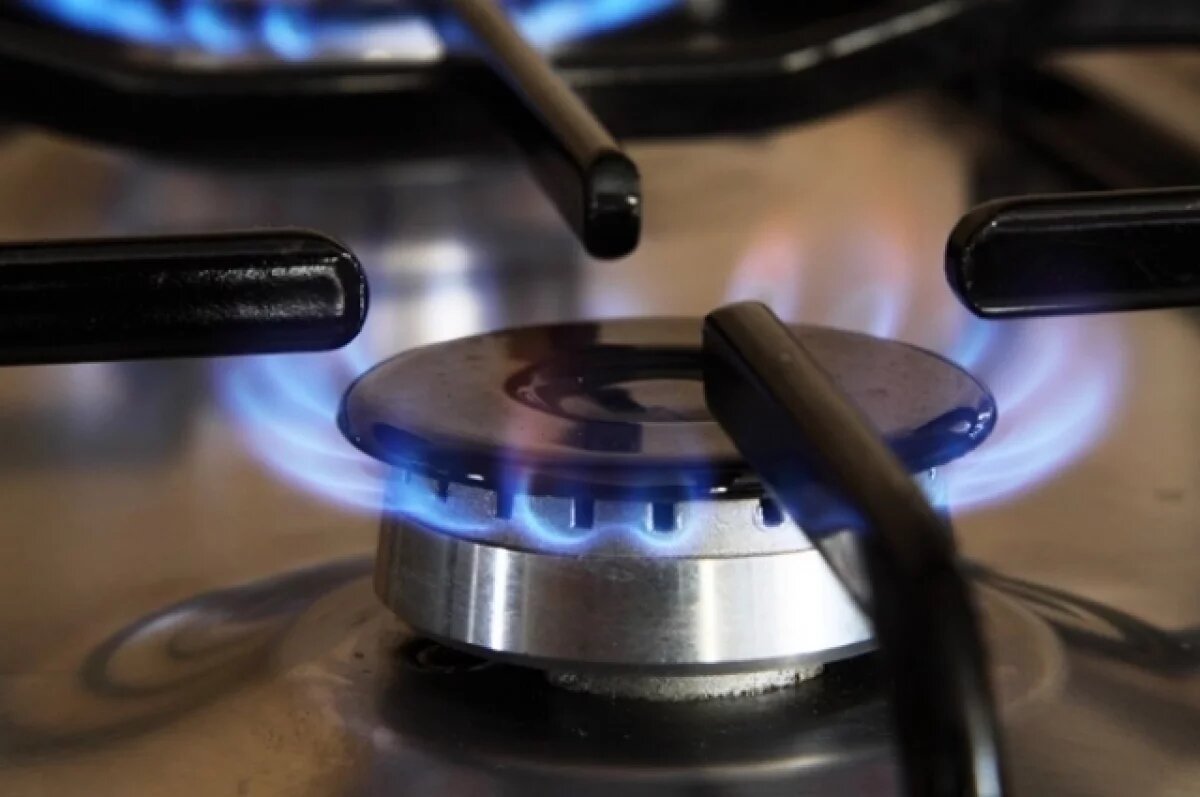    Во Владимире многодетной семье выделили земельный участок без газа