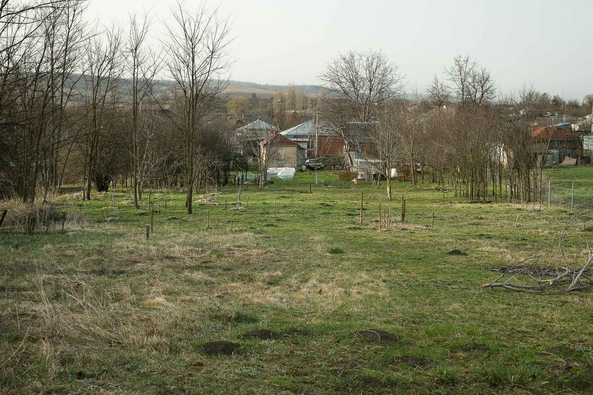 Автор фото Елена Якимова / Greenfingers
