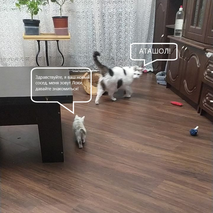 .